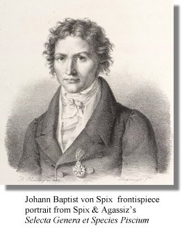 Johann Baptist von Spix, frontispiece portrait from Spix & Agassiz's Selecta Genera et Species Piscium (Munich, 1829[-1831]), lithographed by Franz Seraph Hanfstangl after Joseph Anton Rhomberg.