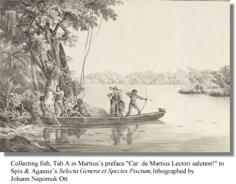 Collecting fish, Tab.A in Martius's preface 