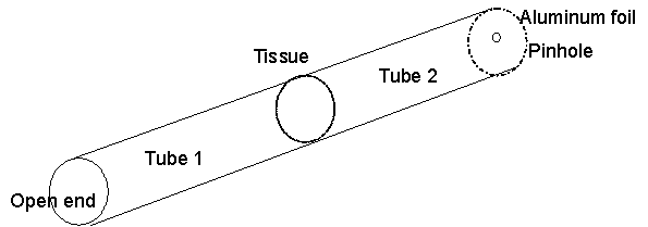 diagram of alternative viewing device